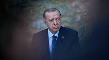 Эрдоган обвинил внешние силы в обвале лиры