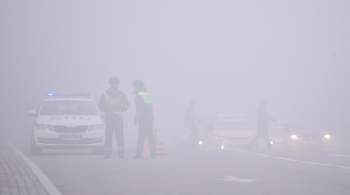 Спасатели дали совет московским водителям из-за ожидающегося ночью тумана 
