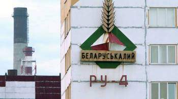 В Литве оценили сумму штрафа из-за разрыва договора  Беларуськалием 