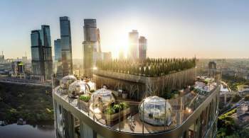 На крышах пяти московских небоскребов появятся пляжи