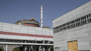Украина возобновила подачу электричества на Запорожскую АЭС 