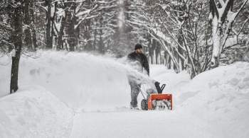 Москвичам пообещали снегопады 30 и 31 января