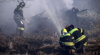 В ЕАО ликвидировали пожар в заповеднике  Бастак 