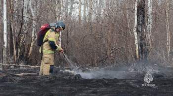 В Курганской области стабилизировалась ситуация с пожарами