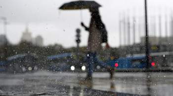Москвичей предупредили о дожде с порывистым ветром 