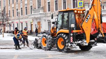Ни снежинки: особенности зимней уборки в Москве 