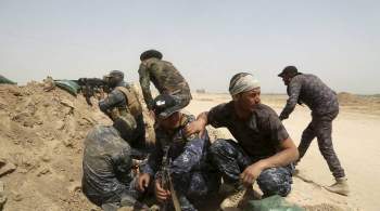 СМИ: в Ираке не менее семи полицейских погибли при атаке ИГ*