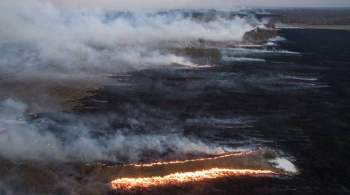 Губернатор Иркутской области рассказал Путину о лесных пожарах в регионе 
