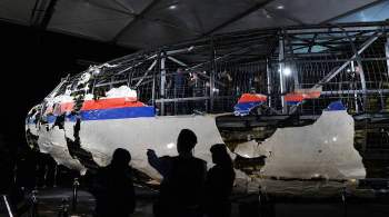 К делу о катастрофе MH17 приобщили непроверяемые данные