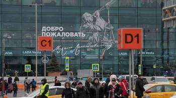 Домодедово сообщил о возможных задержках рейсов из-за снегопада