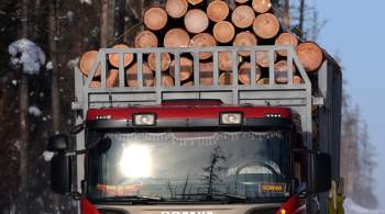 В Томской области автобус с вахтовиками въехал в стоящий лесовоз