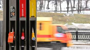 Правительство РФ стабилизирует цены на топливо допмерами