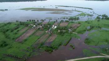 Правительство выделит средства пострадавшим от паводков в Приамурье