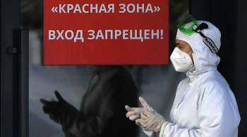 В России с начала года удалили около 2,4 тысячи фейков о коронавирусе