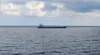 В Нидерланды с Украины прибыло судно с 18500 тонн подсолнечного жмыха