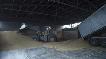 Молдавия намерена ограничить импорт украинского зерна