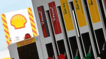 В Shell предупредили о риске банкротства тысяч АЗС в России