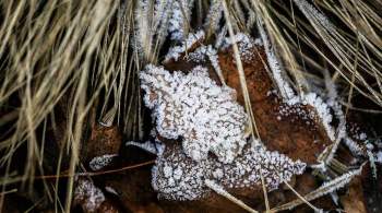 В Магаданской области выпал первый осенний снег