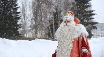 Экономист назвал размер пенсии Деда Мороза