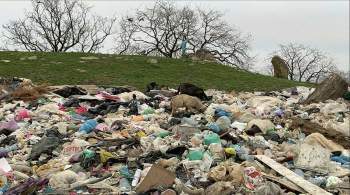 В РЭО предупредили о  коллапсирующем  росте отходов
