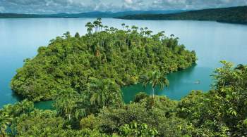 В Папуа-Новой Гвинее убили 18 человек из-за межплеменной вражды