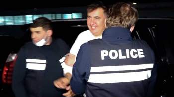 Саакашвили предъявили обвинение в незаконном пересечении границы Грузии