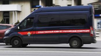 В Подмосковье задержали подозреваемого в убийстве 17-летней девушки