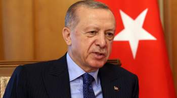 Эрдоган назвал цель Турции в отношениях с РФ и Украиной