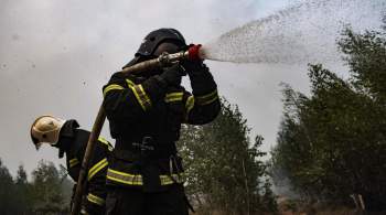 В Рязанской области тушат последний очаг лесного пожара