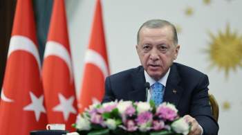 Турция рассчитывает на продолжение зерновой сделки, заявил Эрдоган