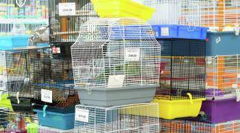 Госдума одобрила в первом чтении правила продажи животных в зоомагазинах