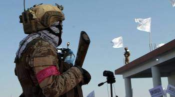 Талибы образуют спецподразделение для защиты газопровода ТАПИ