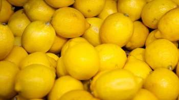 Роспотребнадзор приостановил импорт лимонов из Турции