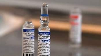 В Чувашию доставили крупную партию вакцины  Спутник V 