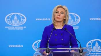 Захарова разъяснила ситуацию с голландскими дипломатами в России