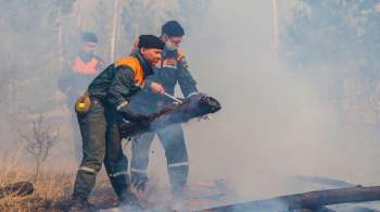 В десяти регионах России может ухудшиться обстановка с лесными пожарами