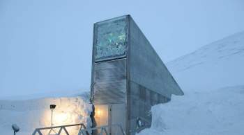 На Шпицбергене построят  Хранилище судного дня  для музыки