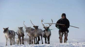 Ямальцы готовятся к диктанту на разных языках коренных жителей Севера