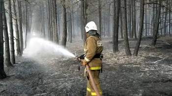 В России за сутки потушили 116 природных пожаров