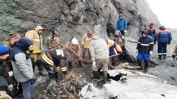 На Камчатке за сутки нашли 15 фрагментов тел погибших при крушении Ан-26
