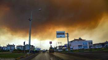 Лесные пожары охватили новые курортные районы Турции
