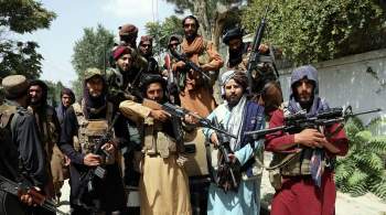 Бойцы сопротивления заявили о готовности войти в правительство с талибами