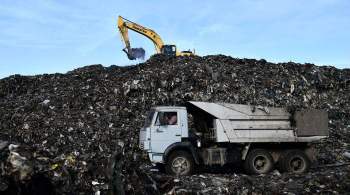 Россиян призвали сортировать отходы в нерабочие дни