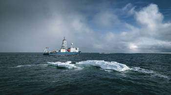Специалисты  Роснефти  подвели итоги года исследований арктических животных