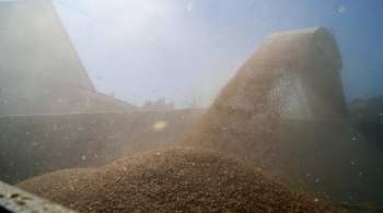 В Минсельхозе Венгрии допустили продление запрета на импорт зерна с Украины