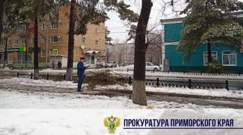 В округе Приморского края ввели режим ЧС из-за циклона 