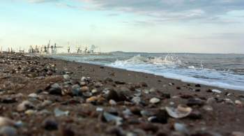 Минобороны РФ: в Азовском и Черном морях работают два гумкоридора для судов