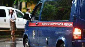 СК проверит данные о нападении мужчины на школьницу в Воронеже