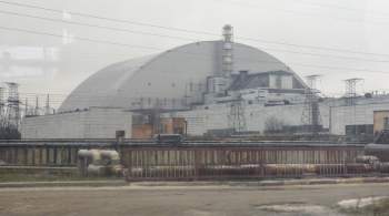 Генассамблея приняла резолюцию о сотрудничестве по Чернобылю под эгидой ООН