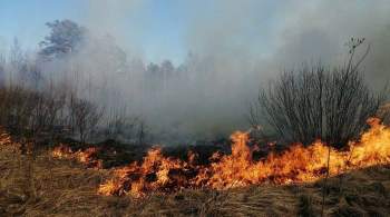 Площадь лесных пожаров в Якутии увеличилась почти на две тысячи гектаров